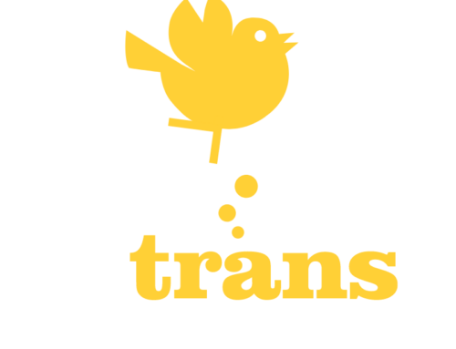 Kolejna edycja festiwalu muzycznego transVOCALE w Słubicach i Frankfurcie nad Odrą